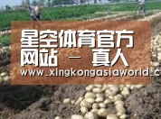 种植基地八