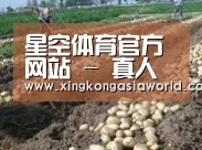 种植基地七(图1)