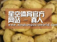 产品展示标题6